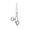 Matsui silver hairdresser scissors with movable thumb eye